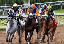 Success is best when shared with family, friends, Belmont winner says horse races