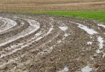 Good weather has (some) farmers smiling again wet field, prevented planting, weather