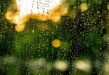 Rain, rain, go away rain