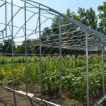 Rural communities get economic development help rural development, tunnel greenhouse, USDA,