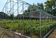 Rural communities get economic development help rural development, tunnel greenhouse, USDA,