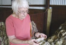Pennsylvania wool pool marks almost 100 years Wool pool