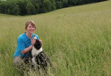 Coming full circle, 20 years later Rebecca Miller Farm and Dairy editor sheep