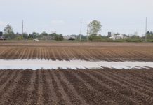 Pennsylvania climate report shows rising temperatures, more rain MFP USDA prevented planting