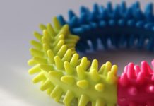 New puppy a gift from above dog toy