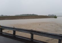 Rainy seasons leave challenges Flood waters in a shelby county corn field