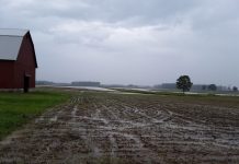 Plan ahead for a rainy spring flood waters in a shelby county corn field