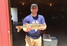 Get your gear ready for Lake Erie walleye fishing Jon Crowell