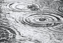 Farmers, let’s get out of our comfort zones rain falling