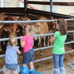 Farm safety event draws a crowd in Mercer County