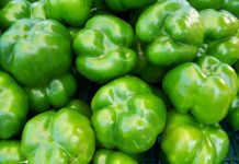 No such thing as male and female bell peppers green peppers