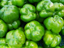 green peppers