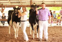 Farmers compete at Harrison dairy shows Harrison Dairy