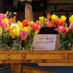 Challenges of specialty cut flowers flowers