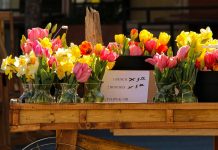 Challenges of specialty cut flowers flowers