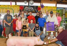 Trumbull fair sale totals $334,314 St.-Jude-charity-hog
