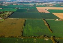 Heat helps corn, but Ohio still last in crop conditions fields