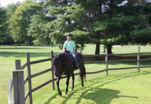 Lorain County 4-H’er ‘truly works her tail off’ Finnegan