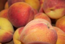 Tour delivers fresh Georgia peaches to Ohio peach truck 4