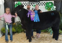 2019 Lake County Fair sale totals $173,500 2019 Lake County Fair Grand Champion Market Beef