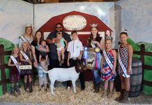 2019 Marshall County 4-H and FFA Goat and Rabbit Club sale results Marshall County 4-H and FFA Goat and Rabbit Club Sale Grand Champion Goat
