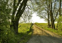 The road to the end of the road dirt road