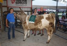 2019 Summit County Fair livestock sale results 2019 Summit County Fair Grand Champion Steer