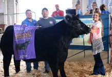 2020 Carroll County Fair sale results 2019 Carroll County Fair Sale Grand Champion Steer