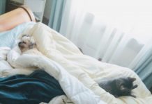 It’s a dog’s world — and we love it Kym Seabolt's dogs and cat snuggled in bed