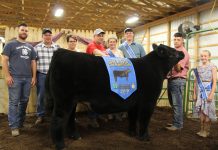 2019 Harrison County Fair totals $410,378 Phillip Kellar’s grand champion market steer sold to D&J Sales and Service and Paris and Washington Insurance for $5 per pound.