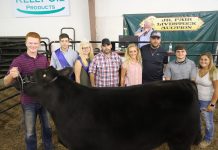 2019 Columbiana County Fair sale totals $741,172.35 2019 Columbiana County Fair Grand Champion Steer