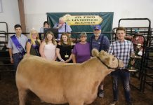 Columbiana, Carroll counties cancel fairs 2019 Columbiana County Fair Reserve Champion Steer