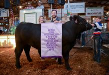 2019 Butler Farm Show sale totals $229,786.10 Butler County Fair Reserve Champion Steer