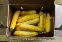 Pittsburgh CSA finds market for ugly, surplus produce yellow zucchini in a box