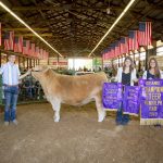 2019 Portage County Fair sale totals $561,285 2019 Portage County Fair Grand Champion Steer
