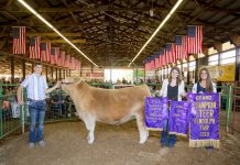 2019 Portage County Fair sale totals $561,285 2019 Portage County Fair Grand Champion Steer
