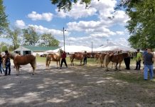 ODA waives match requirements for fair grant program