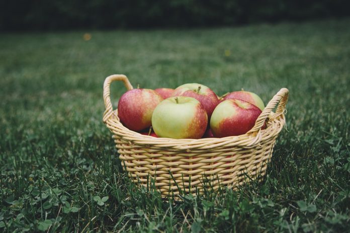 Basket of apples