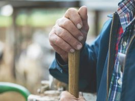 farmers hands on tool