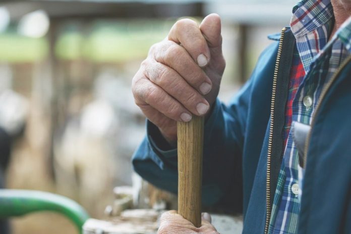 farmers hands on tool