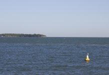 Scientists predict mild harmful algal bloom for Lake Erie this year Lake Erie