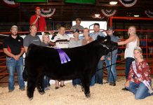 2019 Stark County Fair sale totals $813,352.94 Stark County Fair Grand Champion Steer
