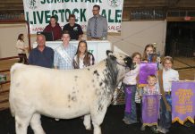 2019 Geauga County Fair sale totals $597,922.43 Geauga County Fair Grand Champion Steer