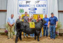 2019 Washington County Fair (Ohio) sale results Washington County Fair Grand Champion Steer