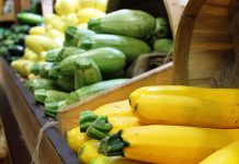Fall vegetable options squash