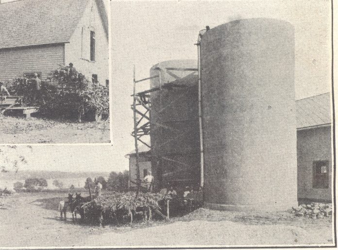 Navy Dairy Farm