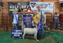 2019 Belmont County Fair sale results Belmont County Fair Grand Champion Goat