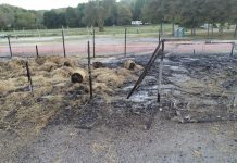 Pavilion razed by fire at Rogers Sale remains of rogers pavilion fire