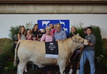 Hookstown Fair sale totals $68,712.05 Steer Champion