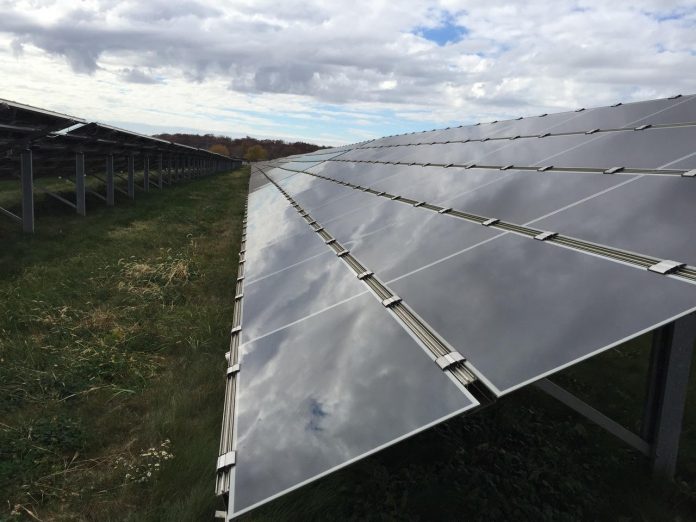 solar panels in a field